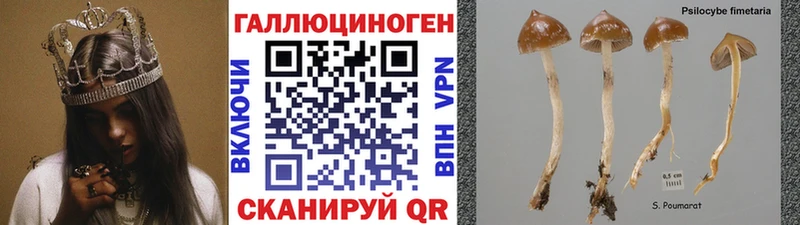 Галлюциногенные грибы Psilocybe  наркошоп  Белоярский 